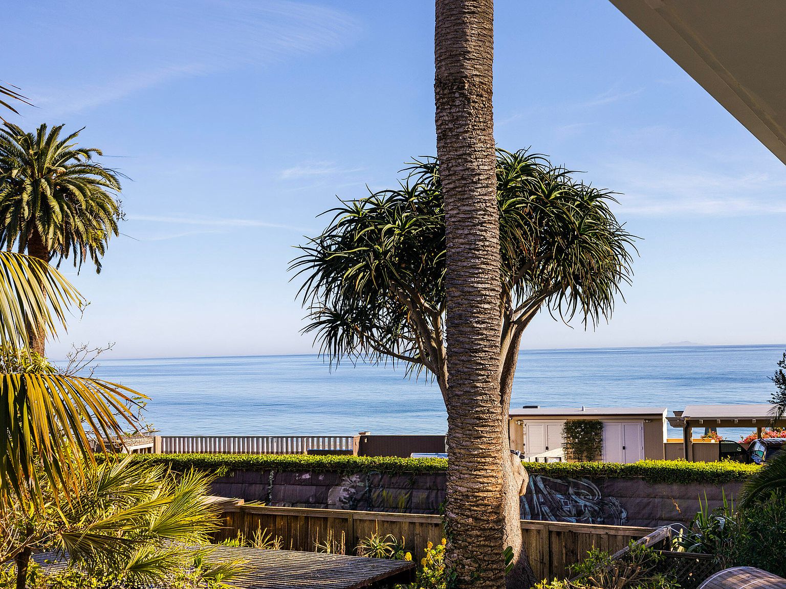 Palm-framed view of the Pacific from the upper deck